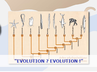 Septembre 08 à Mars 09 – Evolution ? Evolution !