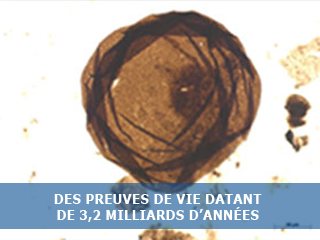 Des preuves de vie datant de 3,2 milliards d’années
