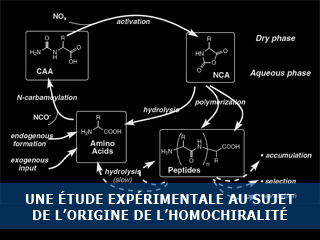 Nouvelle étude expérimentale au sujet de l’origine de l’homochiralité