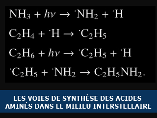 Les chemins de synthèse des acides aminés dans le milieu interstellaire