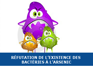 Réfutation de l’existence des bactéries à l’arsenic