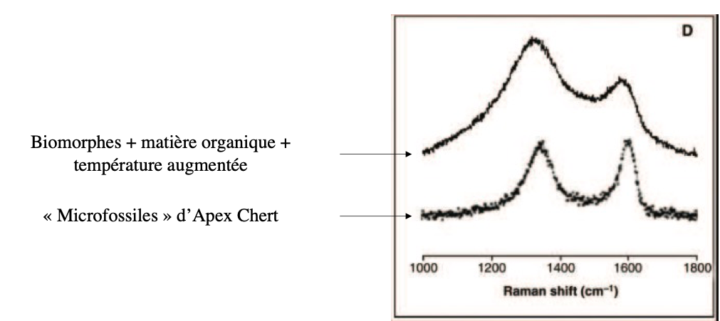 Comparaison des pics du spectre des biomorphes entourés de matière organique avec ceux du spectre des « microfossiles » d'Apex Chert détectés par Schopf