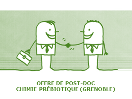 Postdoctoral position in Prebiotic Chemistry (Grenoble)